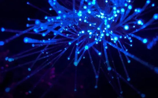 The Rise of Generative AI in Everyday Applications: Discover Its Impact