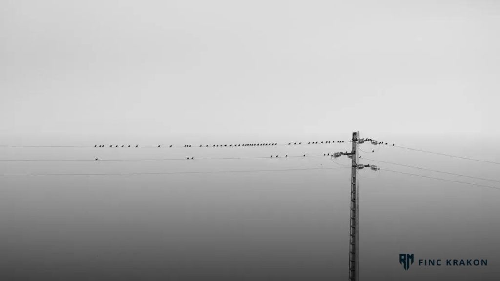 Understanding Ransomware: How to Prevent It Effectively