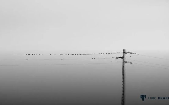 Understanding Ransomware: How to Prevent It Effectively